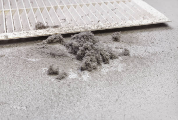 Best HVAC Air Duct Cleaning  in Auburn, WA